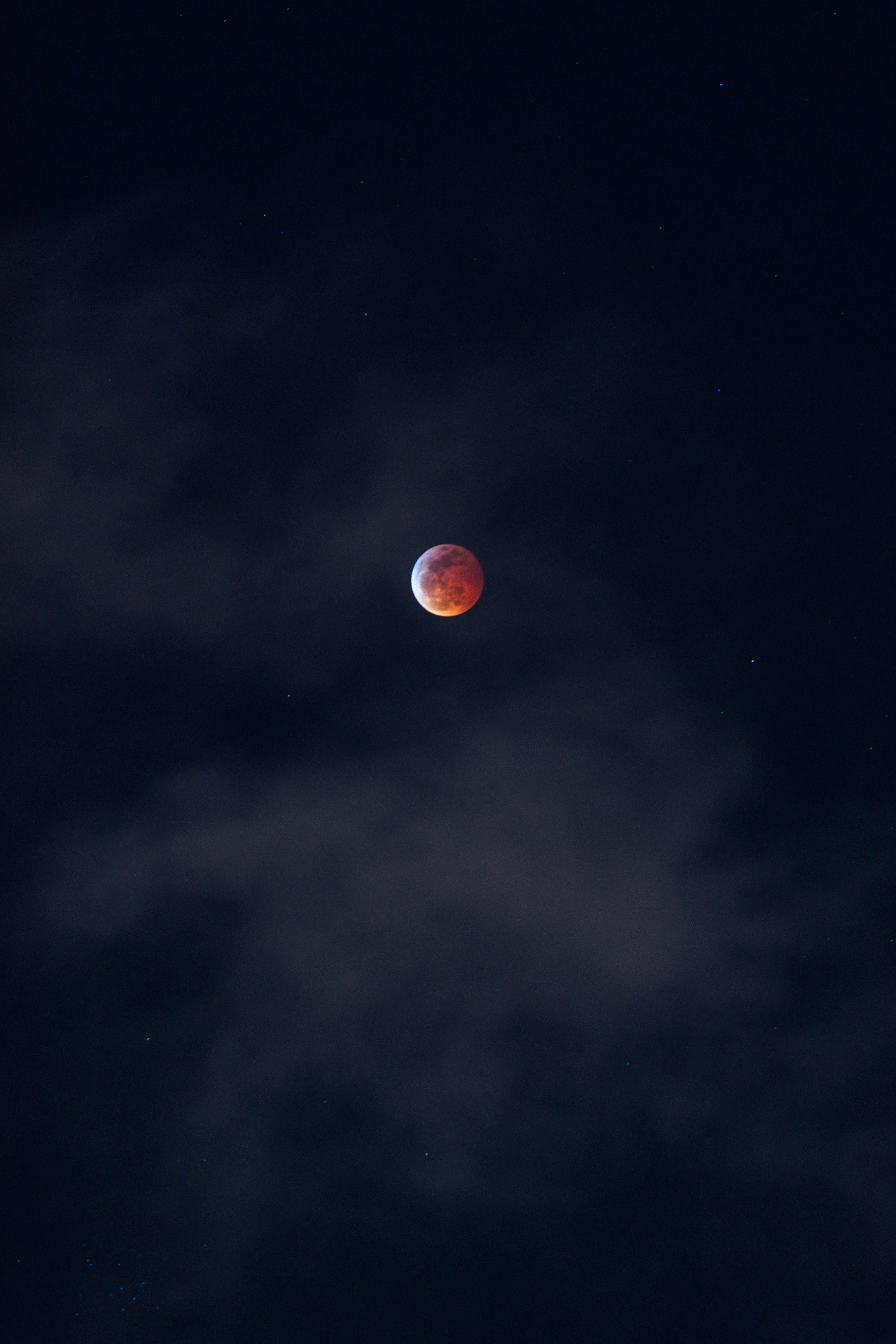 Blood Moon Photos, Download The BEST Free Blood Moon Stock Photos & HD  Images