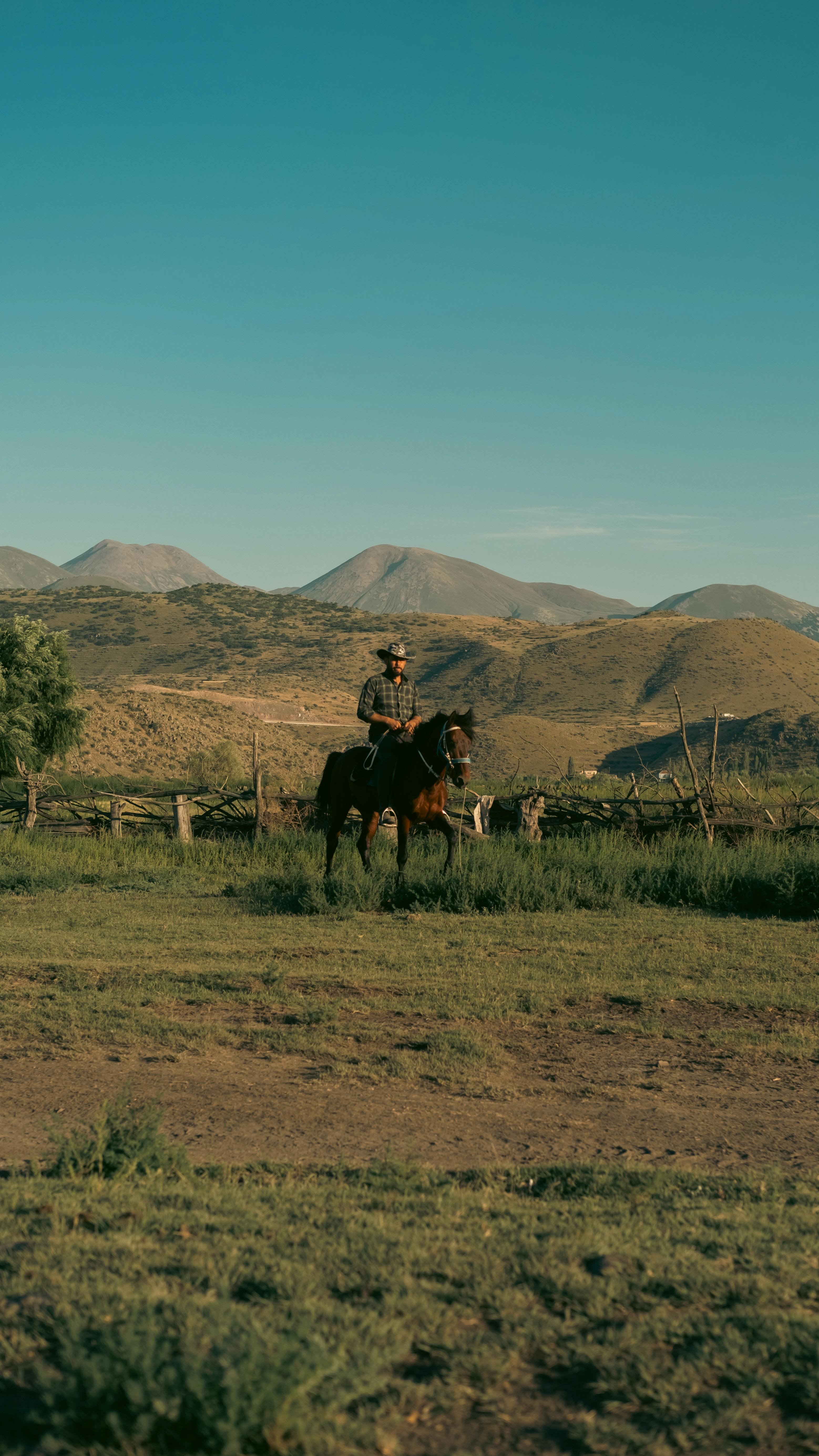 a person riding a horse in a field with mountains in the background