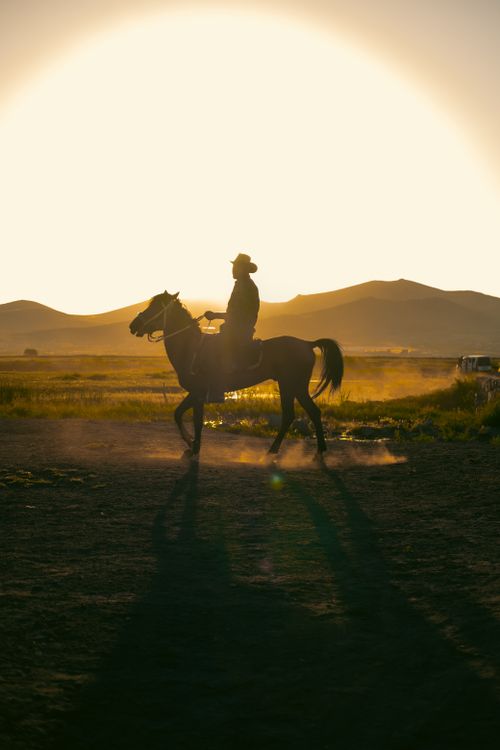 Free A cowboy rides through a dusty landscape in Türkiye, captured in silhouette against the setting sun. Stock Photo