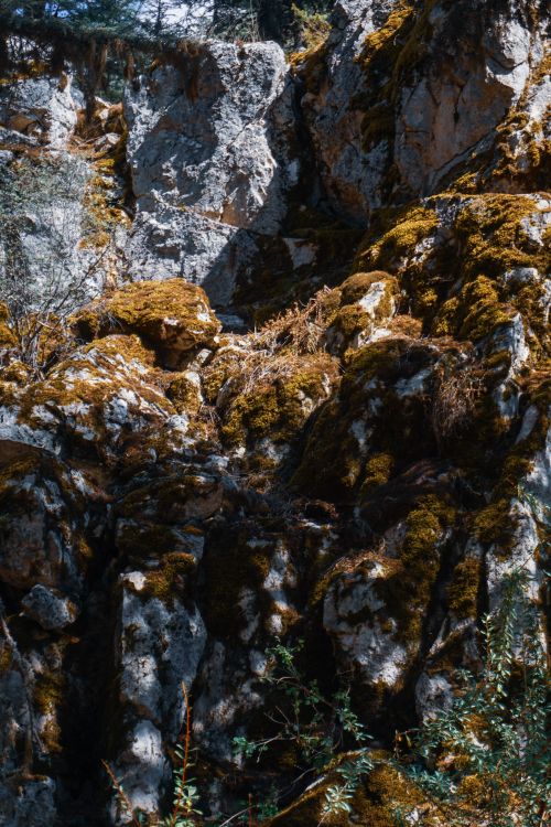 Free Explore the serene moss-covered rocky landscape of Isparta, Türkiye, showcasing vibrant greenery. Stock Photo