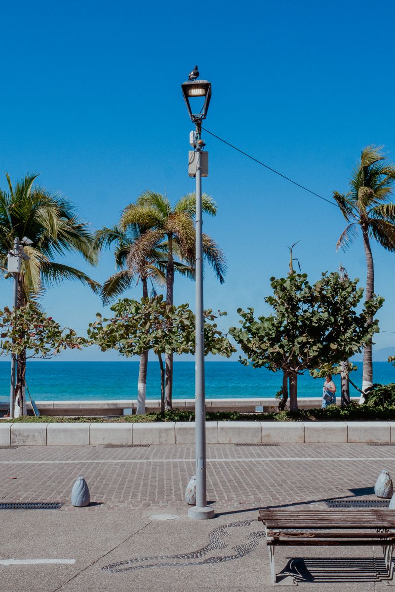 El paseo marítimo El Malecón en Puerto Vallarta
