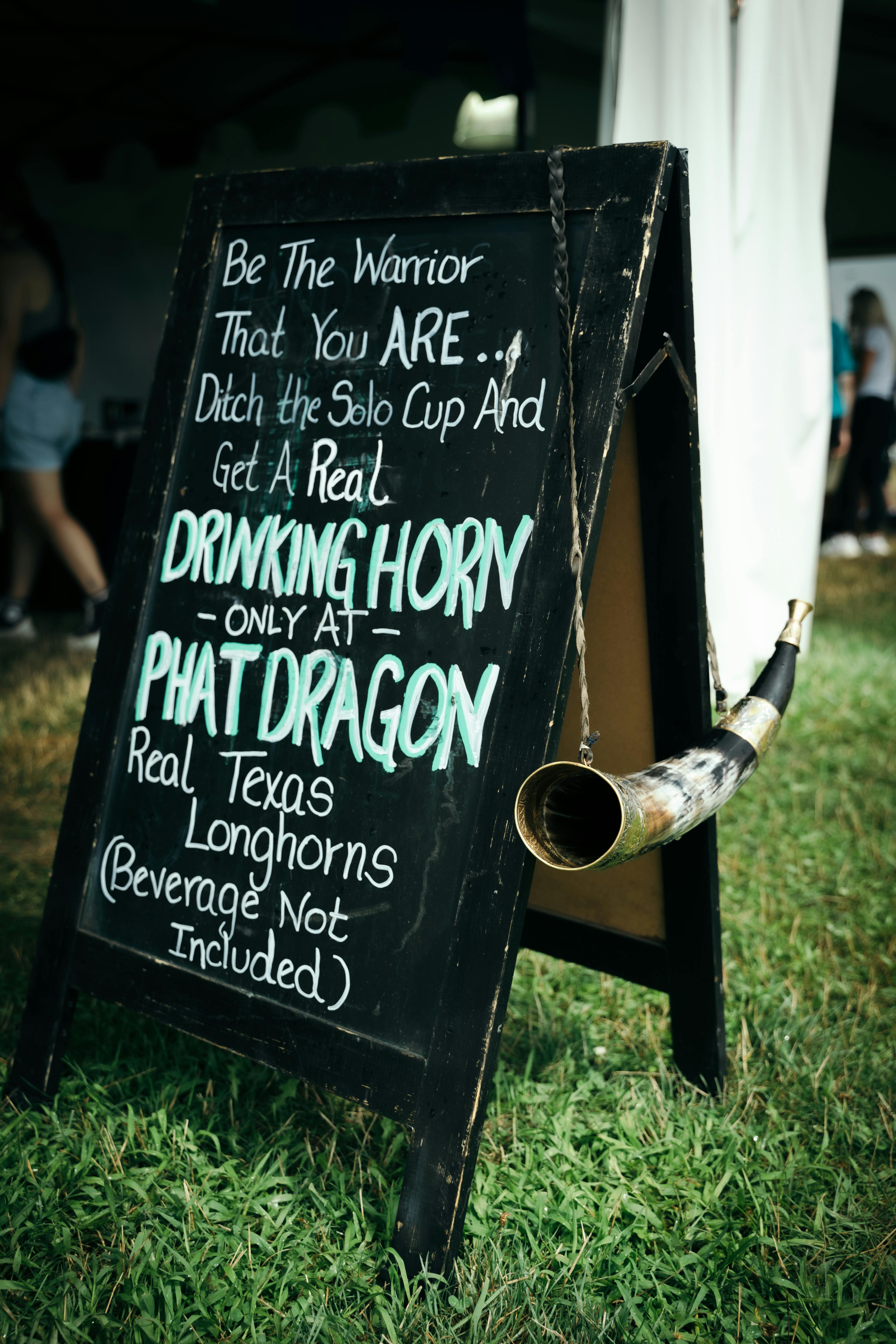 a sign that says downmory and pitt dragon