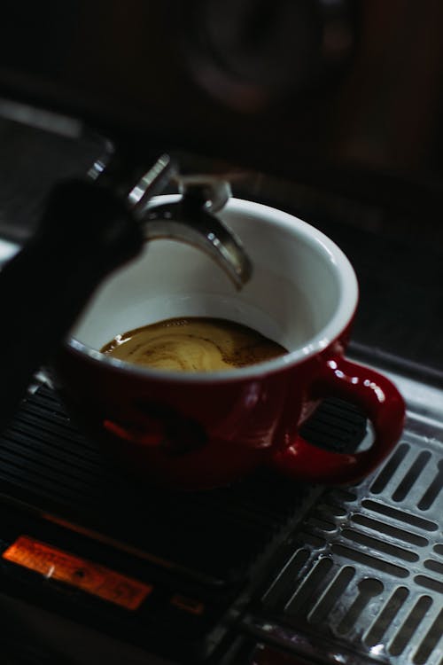Ingyenes stockfotó cappuccino, csésze, csésze kávé témában