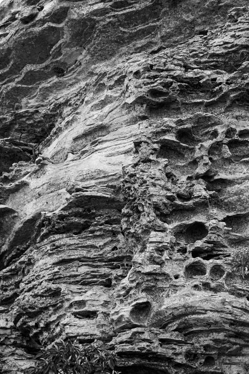 Free Close-up of textured eroded limestone rock showcasing natural patterns and geological erosion. Stock Photo