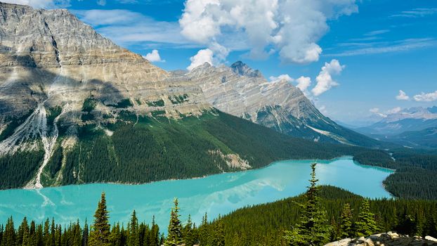 Breathtaking landscape of Peyto Lake with turquoise waters surrounded by rugged mountains and forests in Banff National Park.