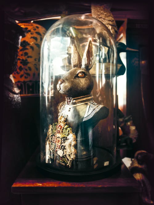 Gratis stockfoto met drinkglas, konijn standbeeld, meubels