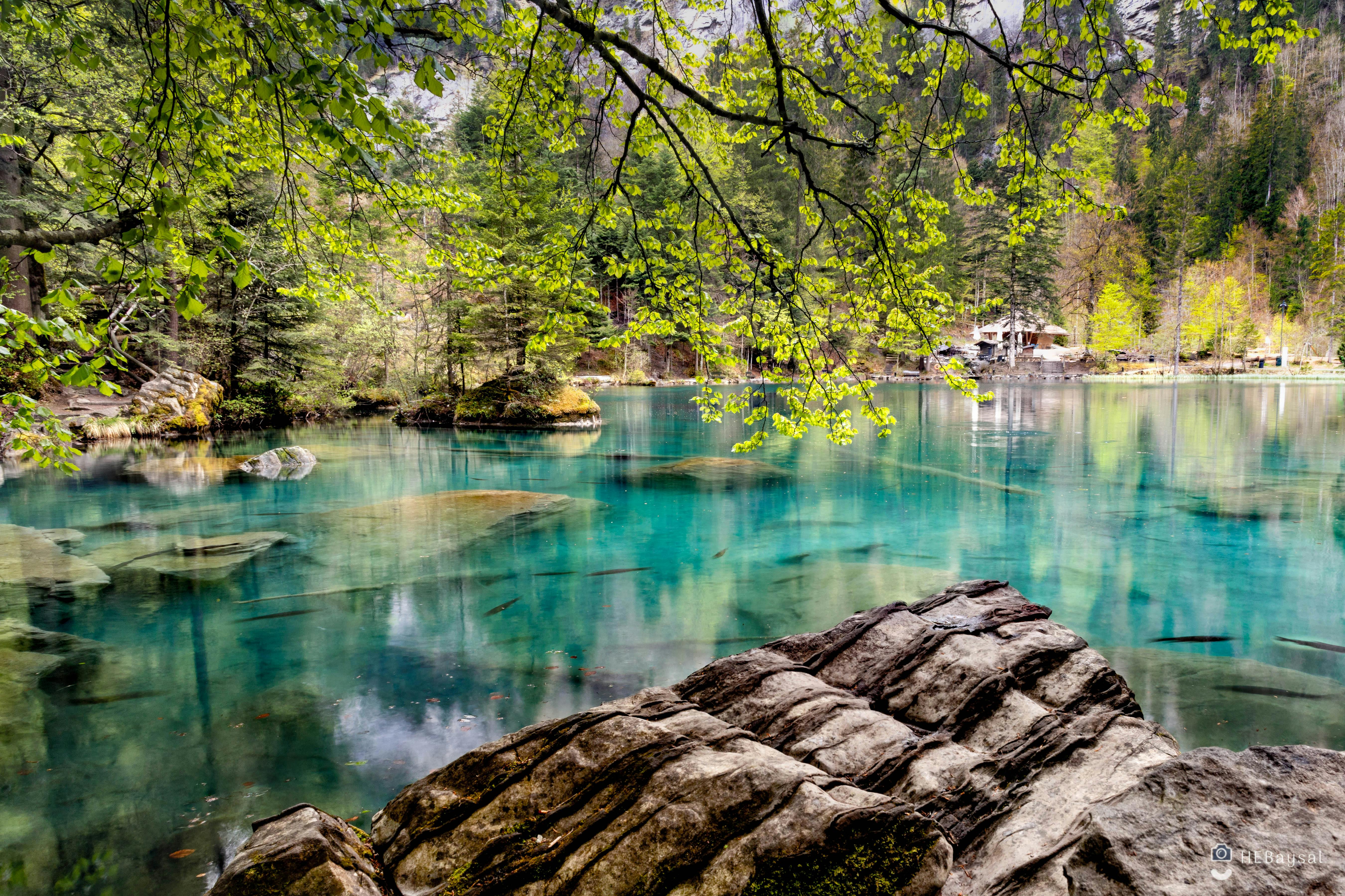 Photo Of Lake During Daytime Free Stock Photo