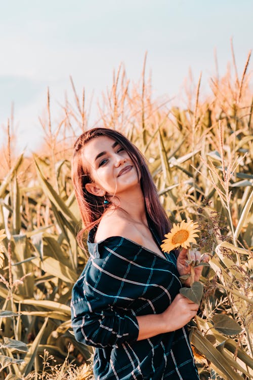 Foto Der Frau, Die Sonnenblume Hält