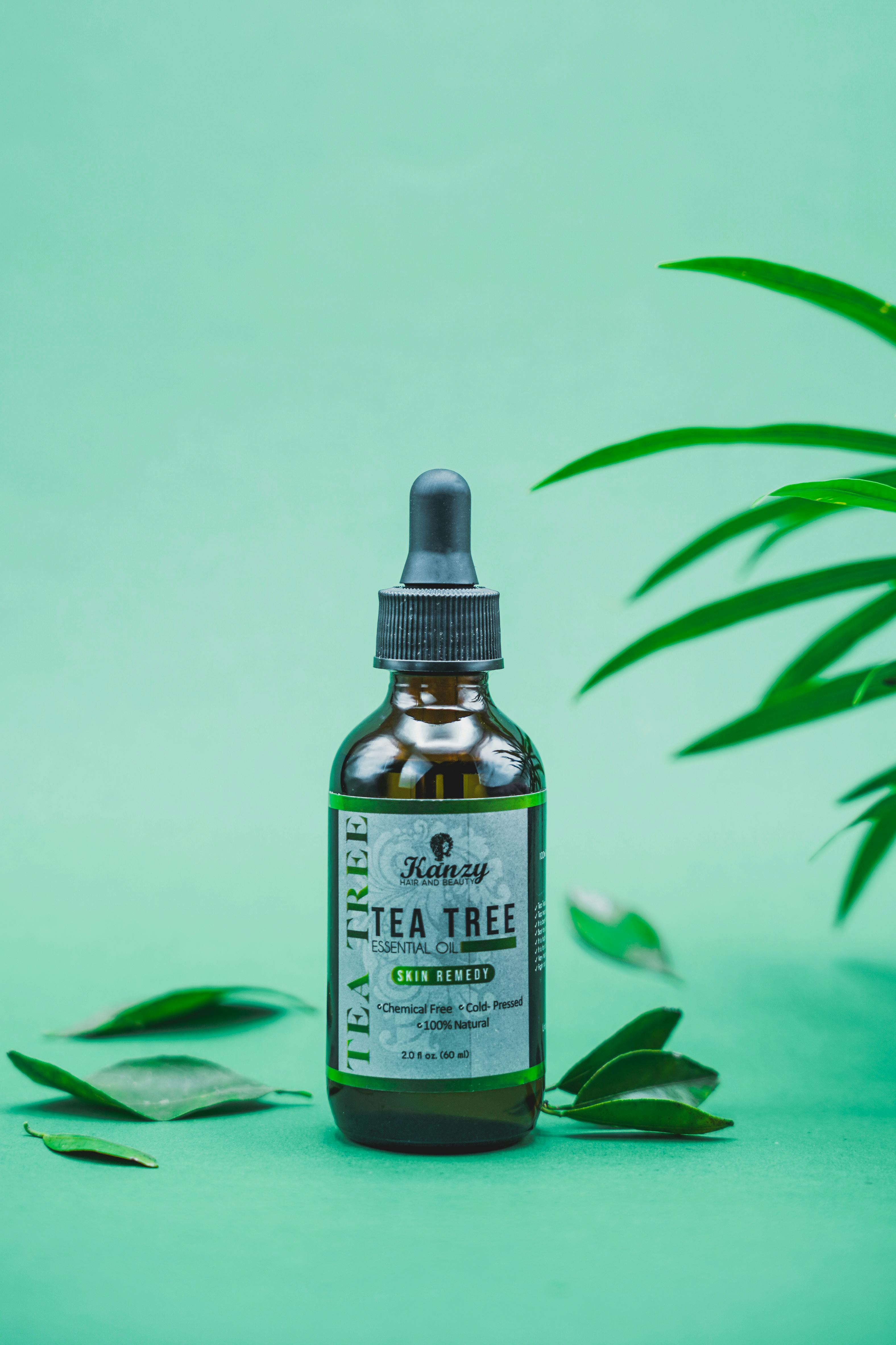 Tea tree essential oil bottle with green leaves, promoting natural skin care and remedies.