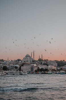 黄昏时分，海鸟在博斯普鲁斯海峡海滨上空飞翔，映衬着伊斯坦布尔美丽的天际线