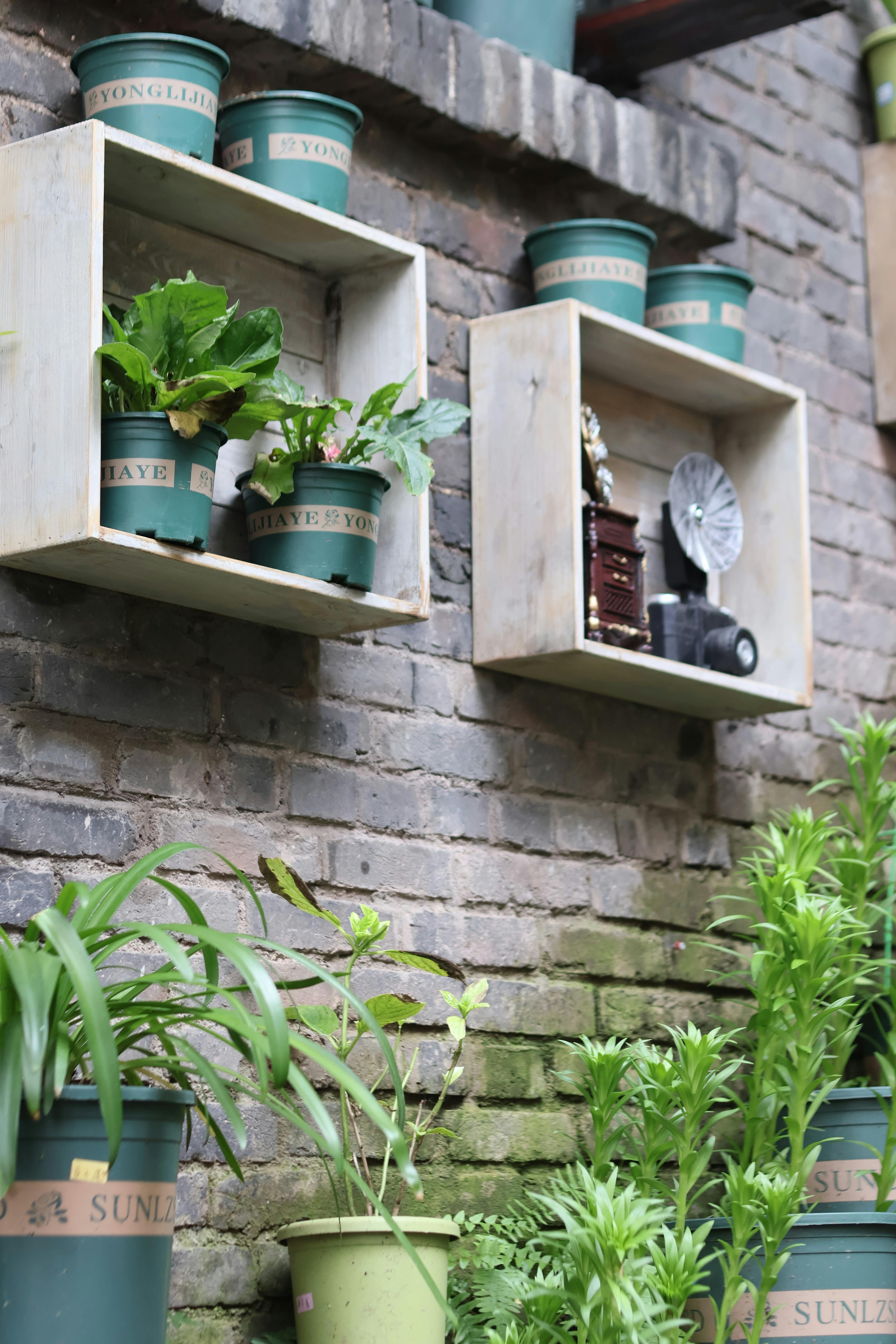 potted plants outdoor idea 3