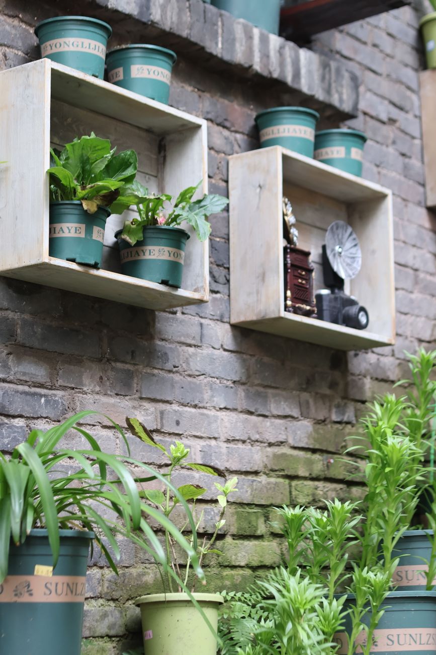 potted plants outdoor idea 3
