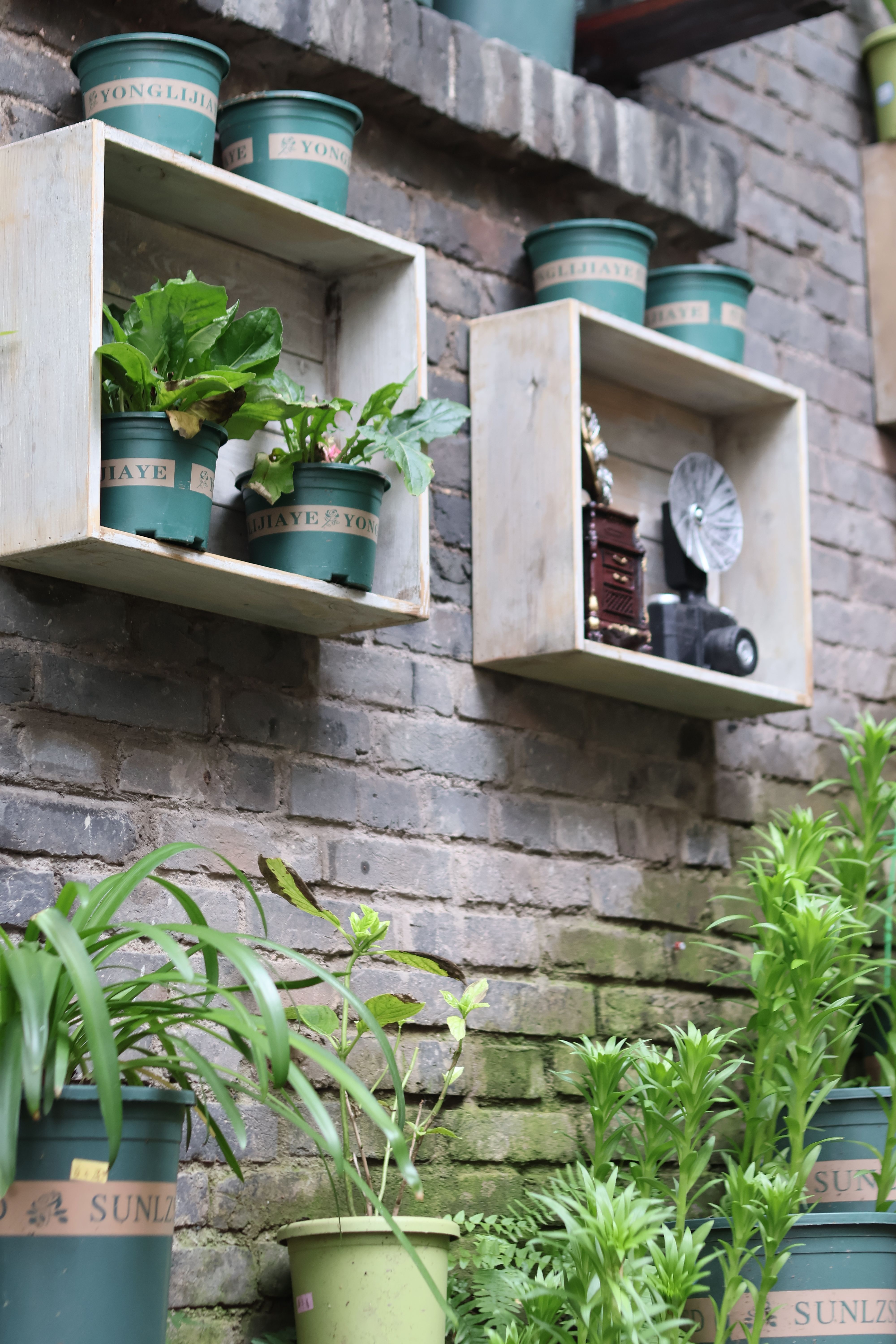A brick wall with potted plants and wooden shelves · Free Stock Photo