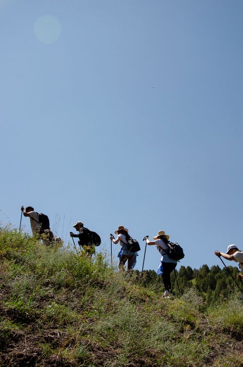 Free A group of adults hiking uphill on a sunny day near Shymkent, Kazakhstan. Stock Photo