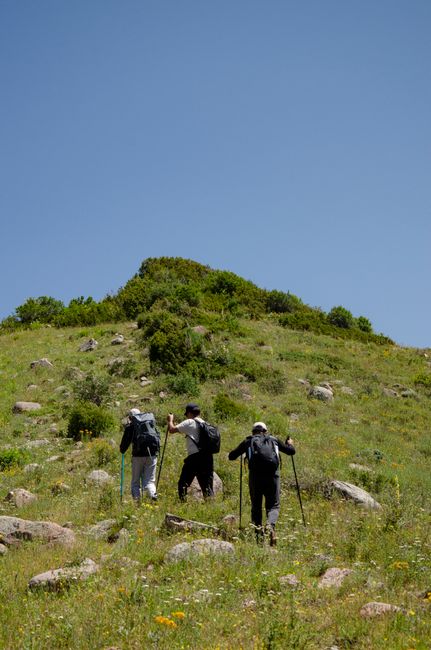 Three hikers climbing lush hills under clear blue skies in Shymkent.