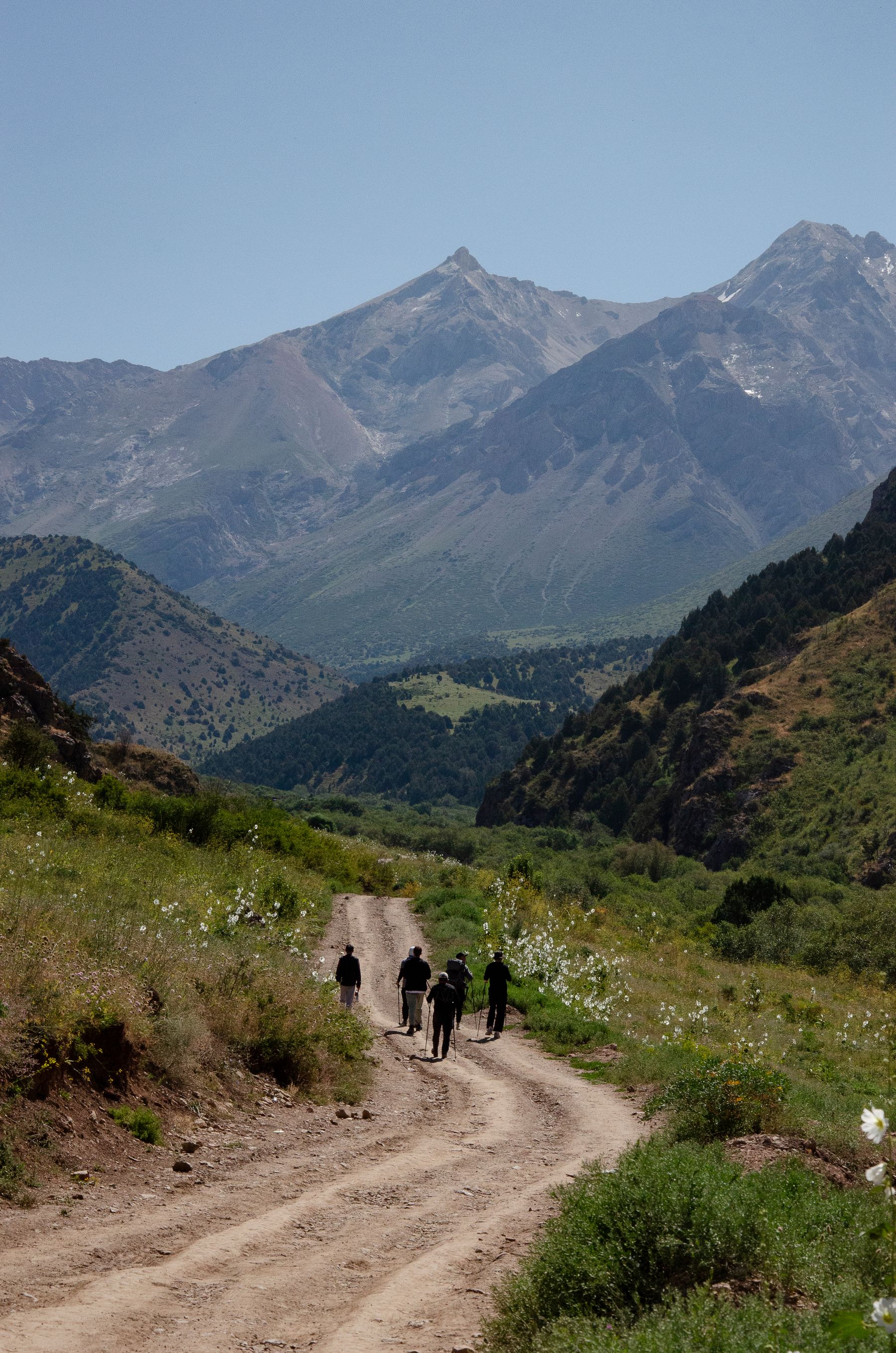 A dirt path winding through a green valley toward the mountains