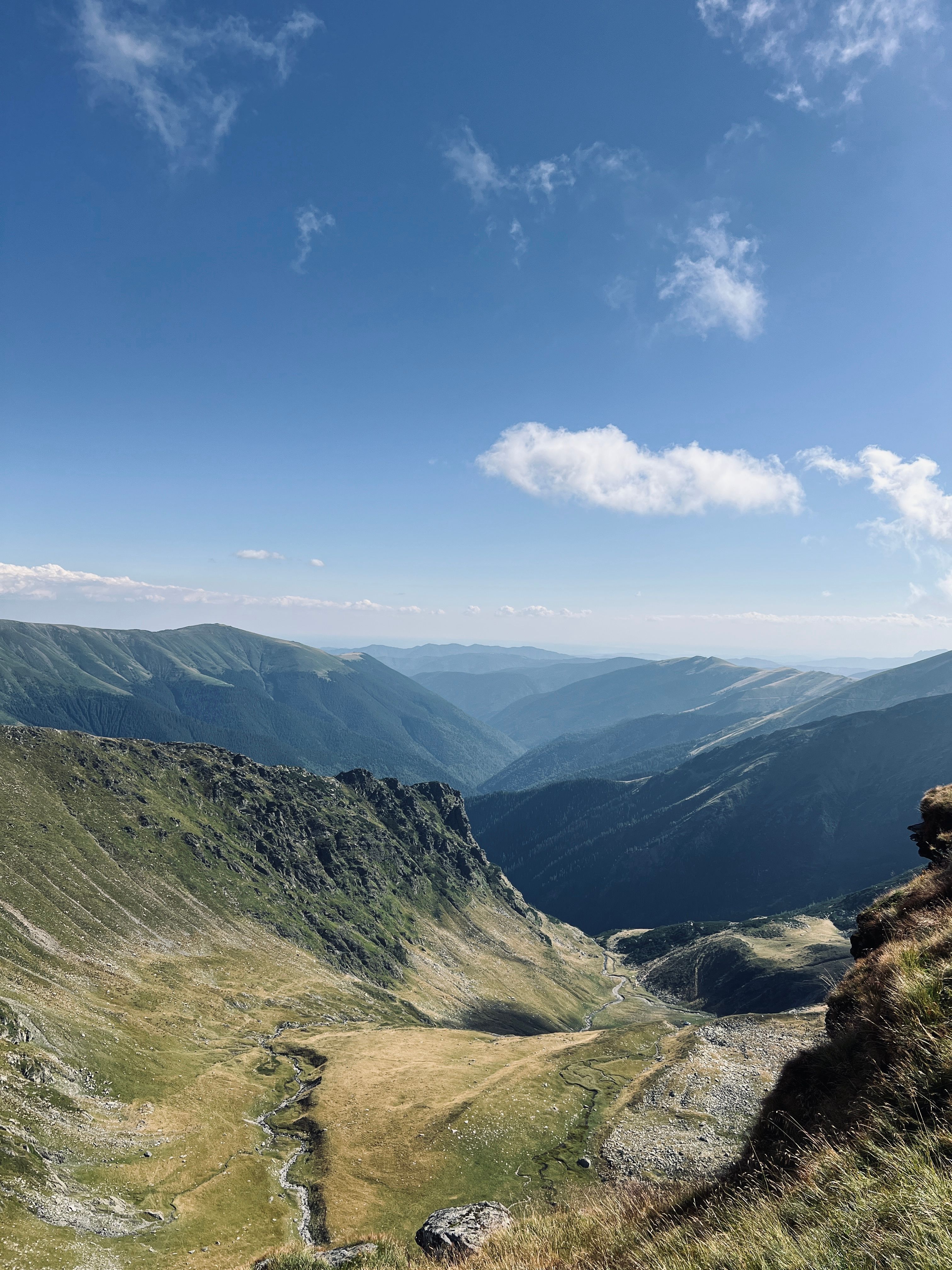 Široké travnaté hřebeny klesající do hlubokých zalesněných údolí
