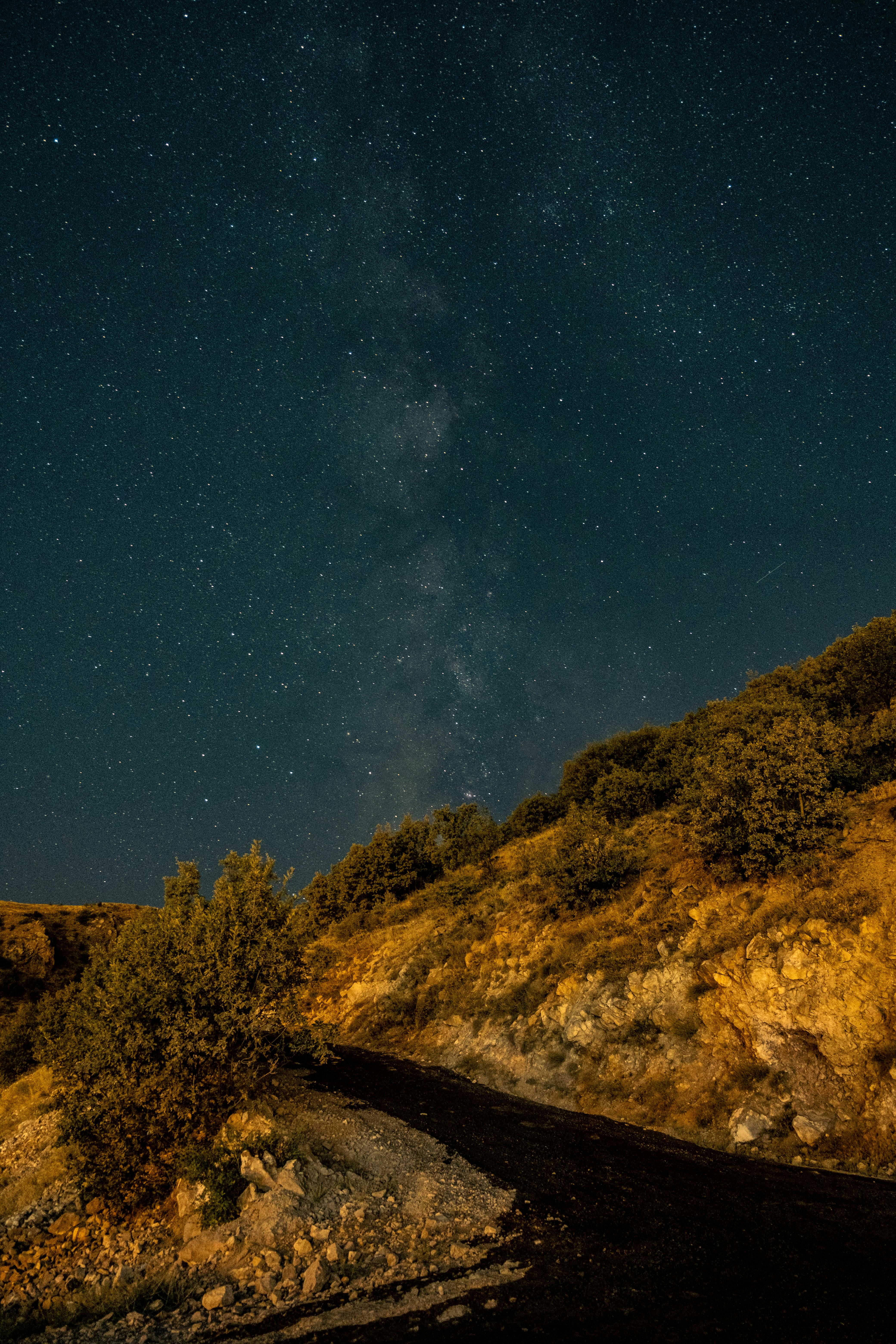 the milky way over a road at night