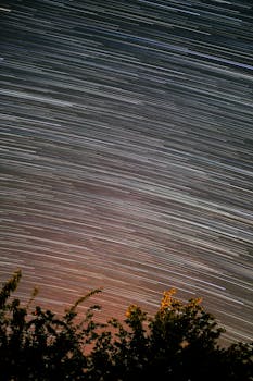 Long exposure of star trails creating a dynamic night sky above silhouetted trees.