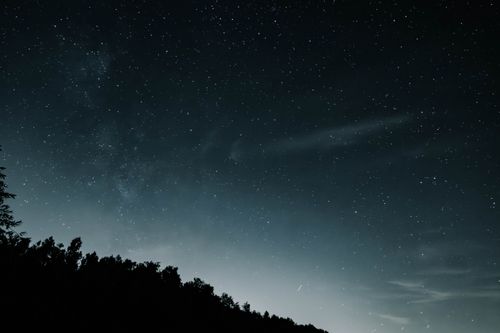 Free A breathtaking view of a starry night sky over a forest in Hauts-de-France, France. Stock Photo
