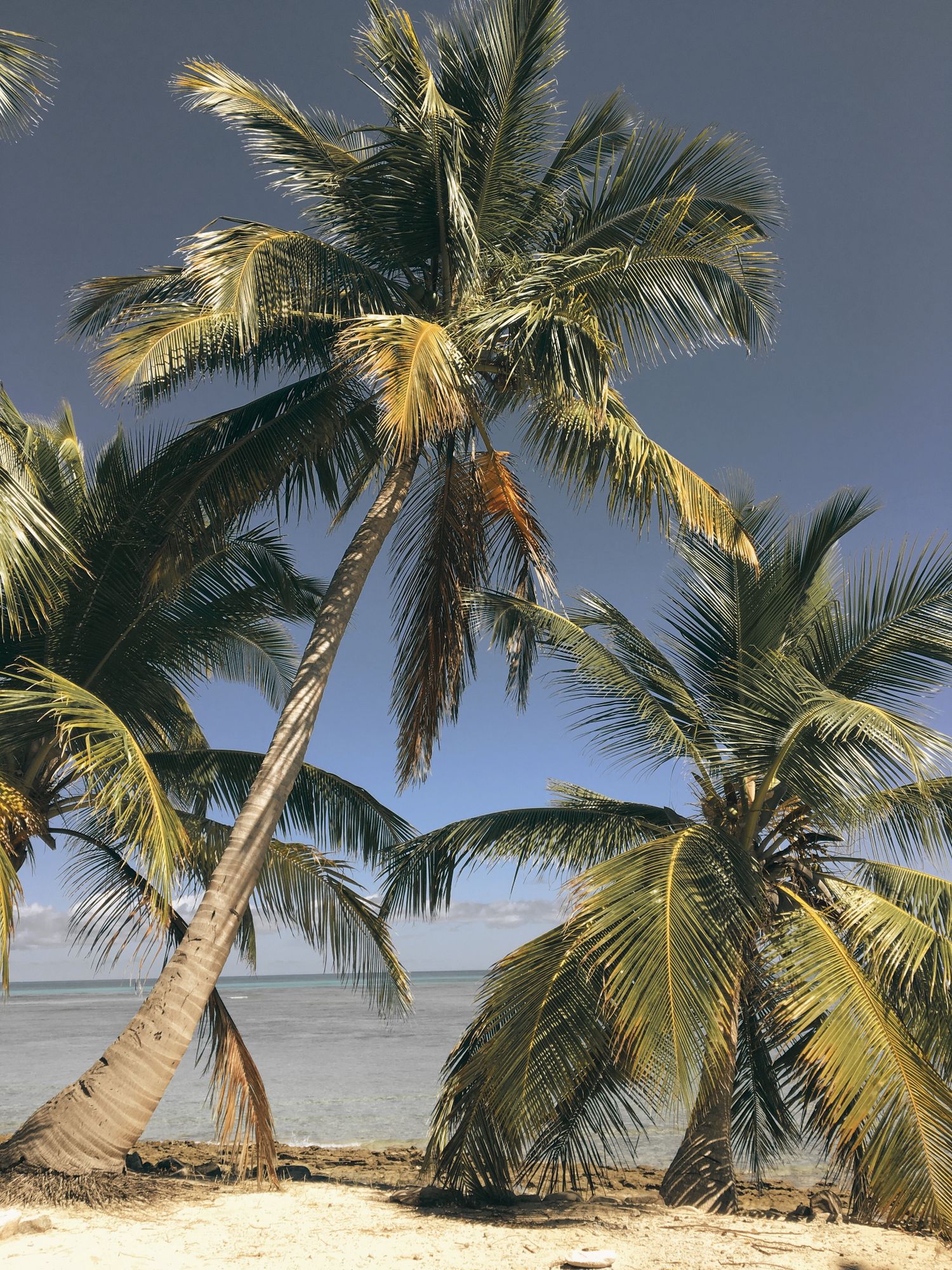 Tropikalna plaża na Nosy Iranja na Madagaskarze