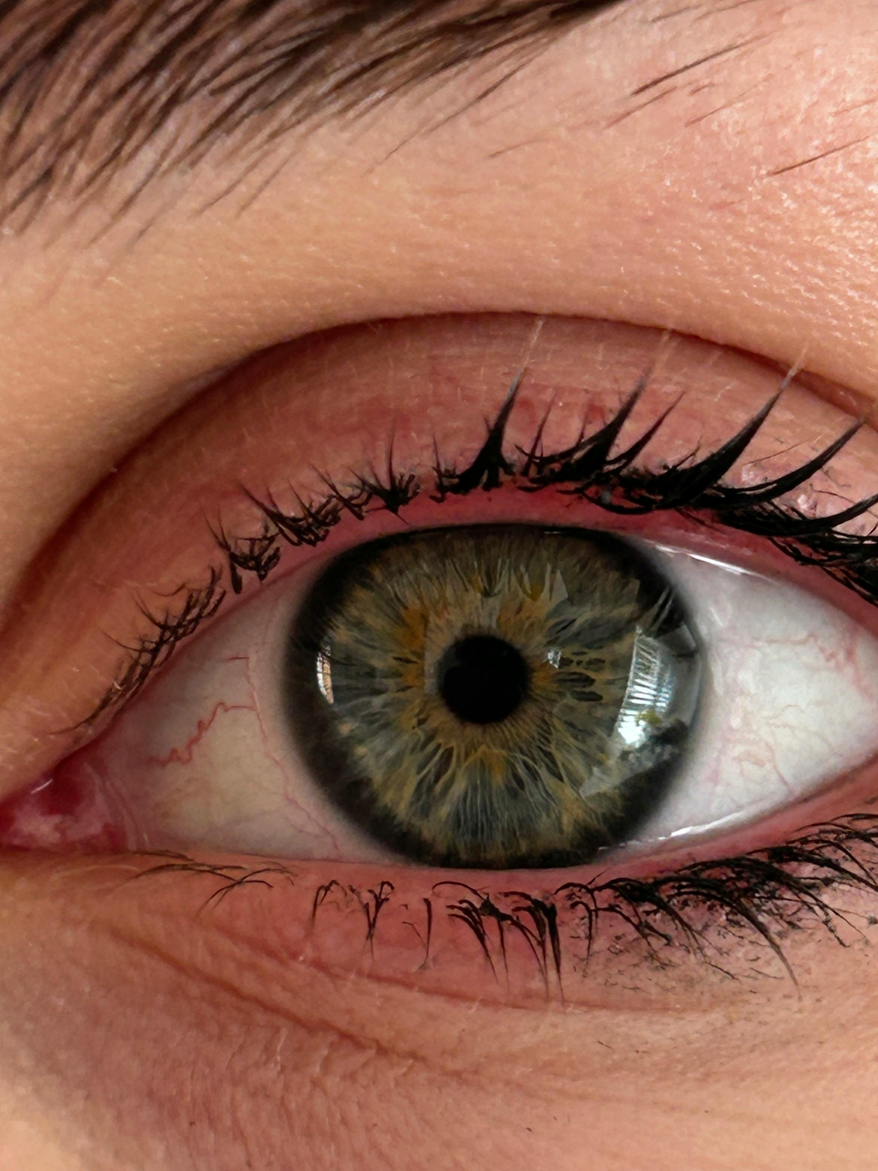 Gratuit Photos gratuites de beauté, cil, cils Photos