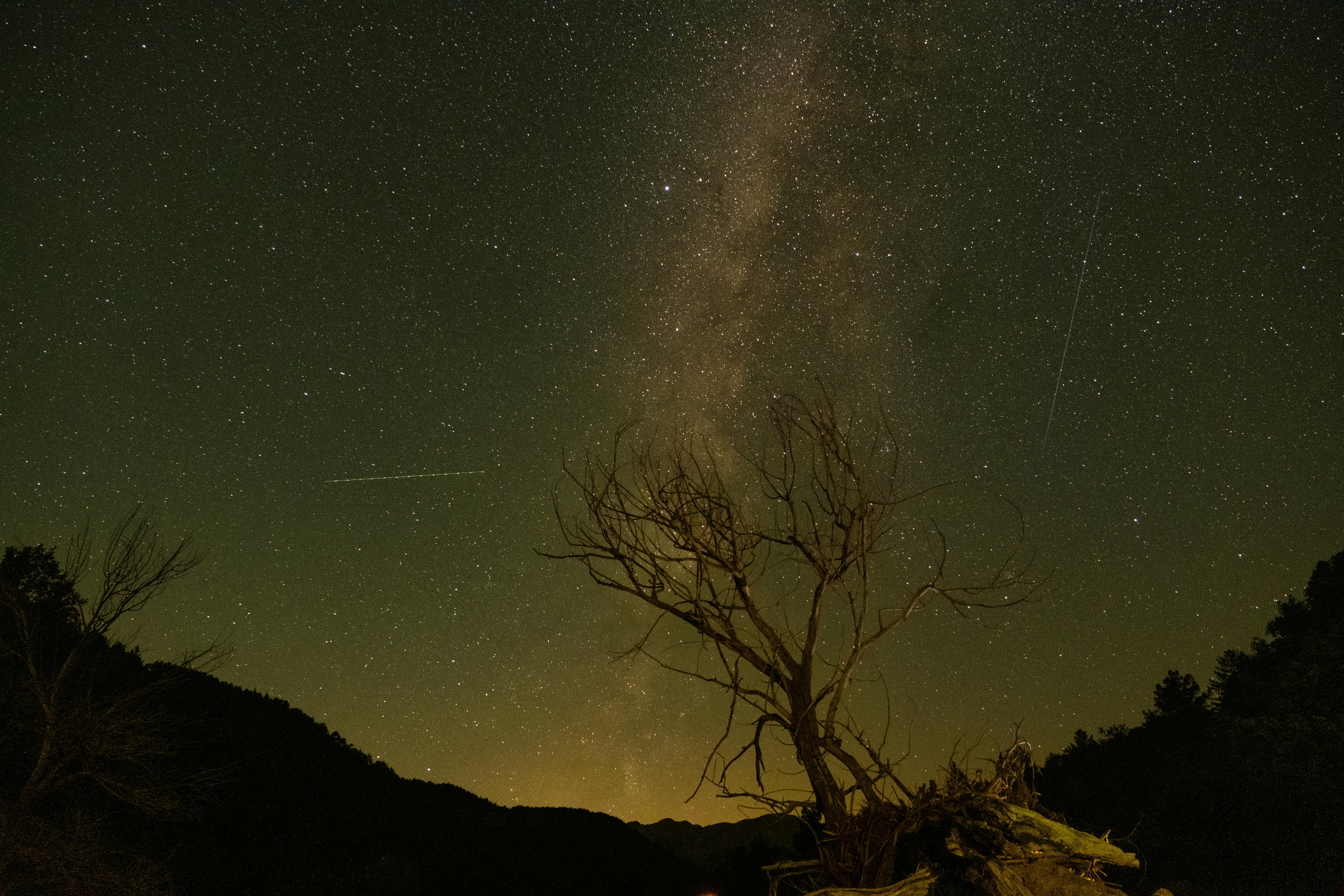A mesmerizing view of the Milky Way galaxy above a solitary tree silhouette under a starry night sky.