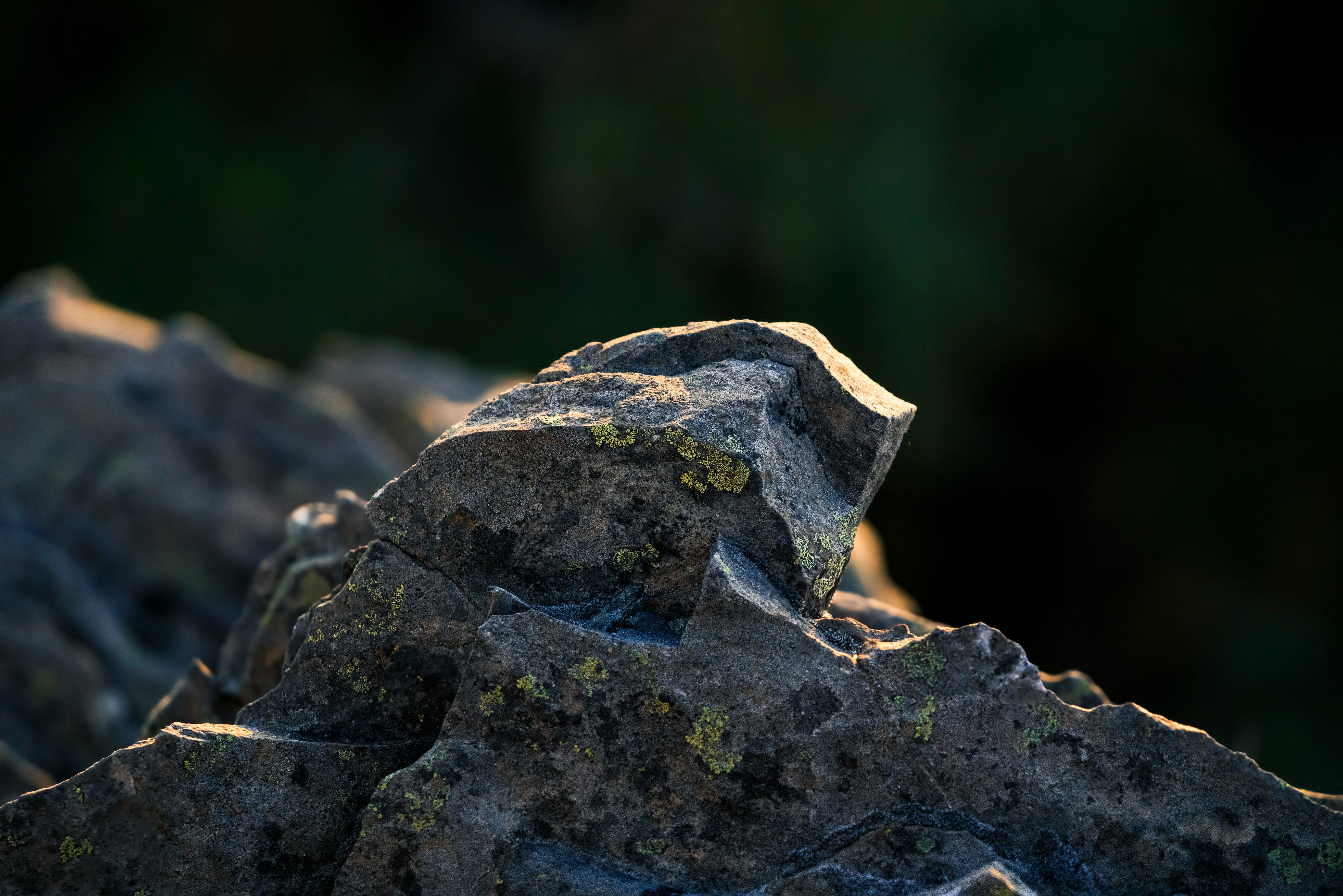 Detailed view of rocks and moss in warm sunlight, showcasing natural textures and earthy tones.