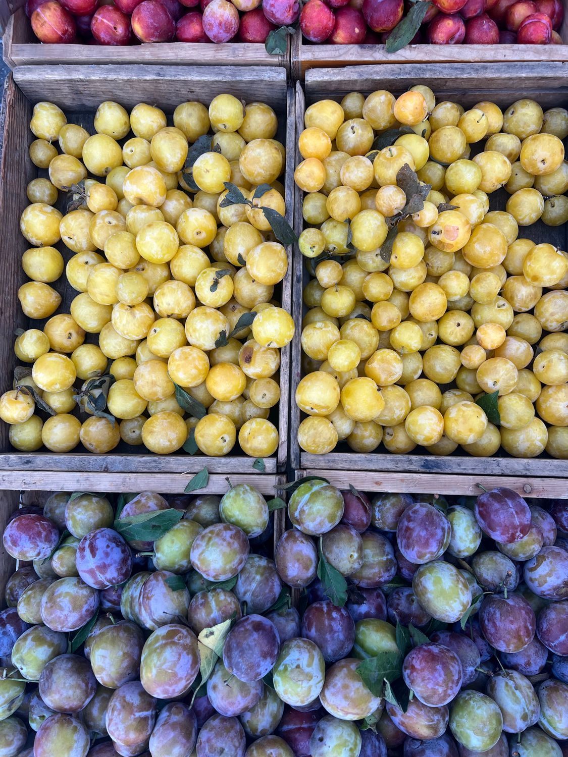 Assorted Plums A display of plums and other fruits in crates ยท Free Stock Photo