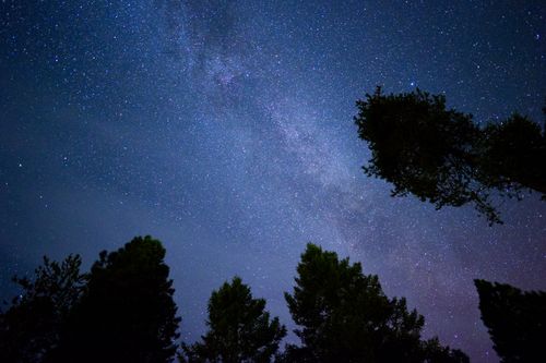 Free A captivating view of the Milky Way over a forest in Naples, Idaho, under a clear starry night sky. Stock Photo