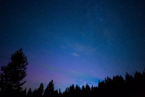 Free Beautiful starry night sky over a silhouette of trees in Naples, ID. Stock Photo
