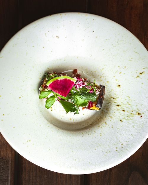 Free Delicious and vibrant gourmet dish garnished with fresh greens and radish, elegantly presented on a white plate. Stock Photo
