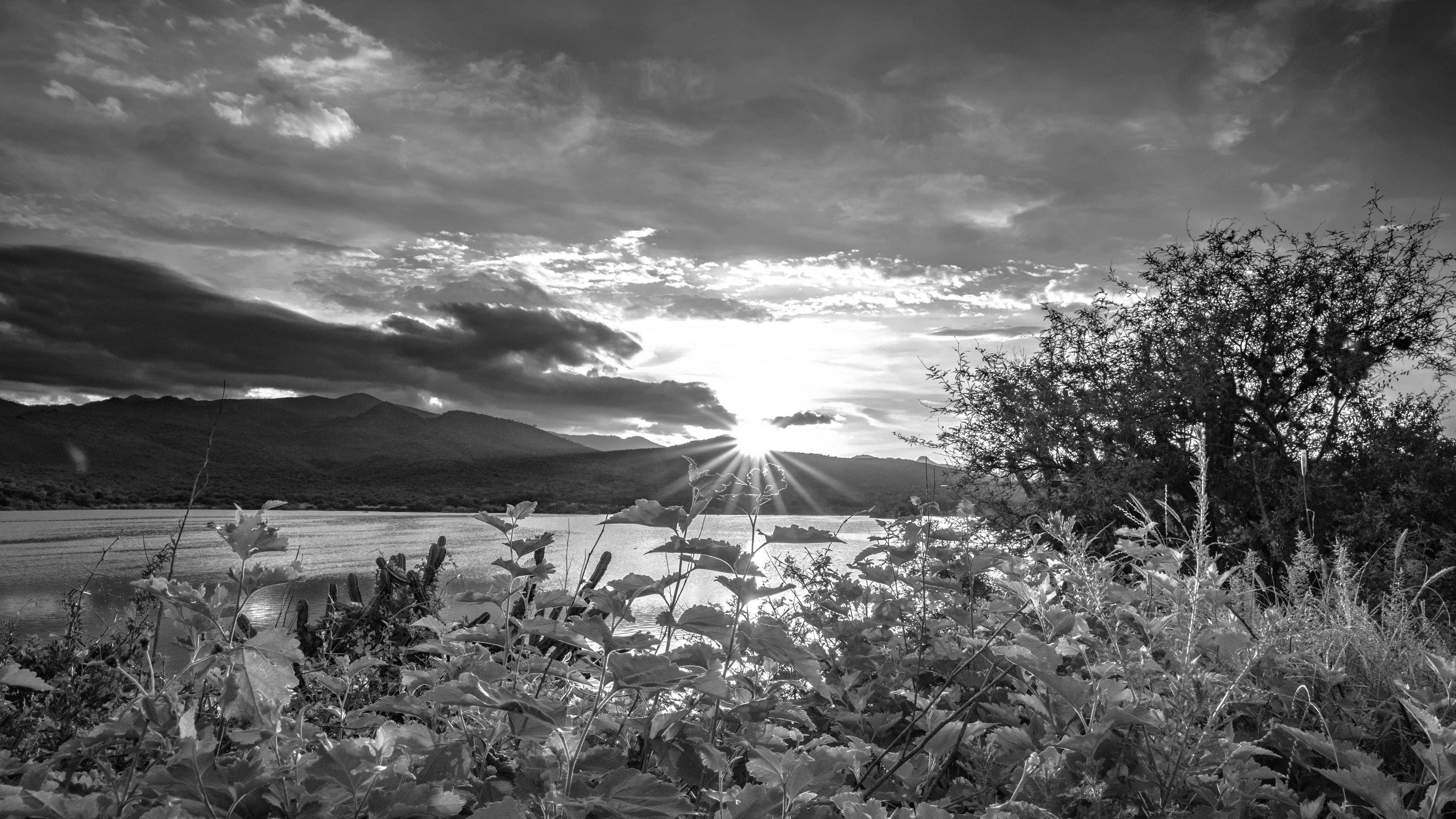 What Are The Benefits Of Using Nopal In Gluten-free Recipes?