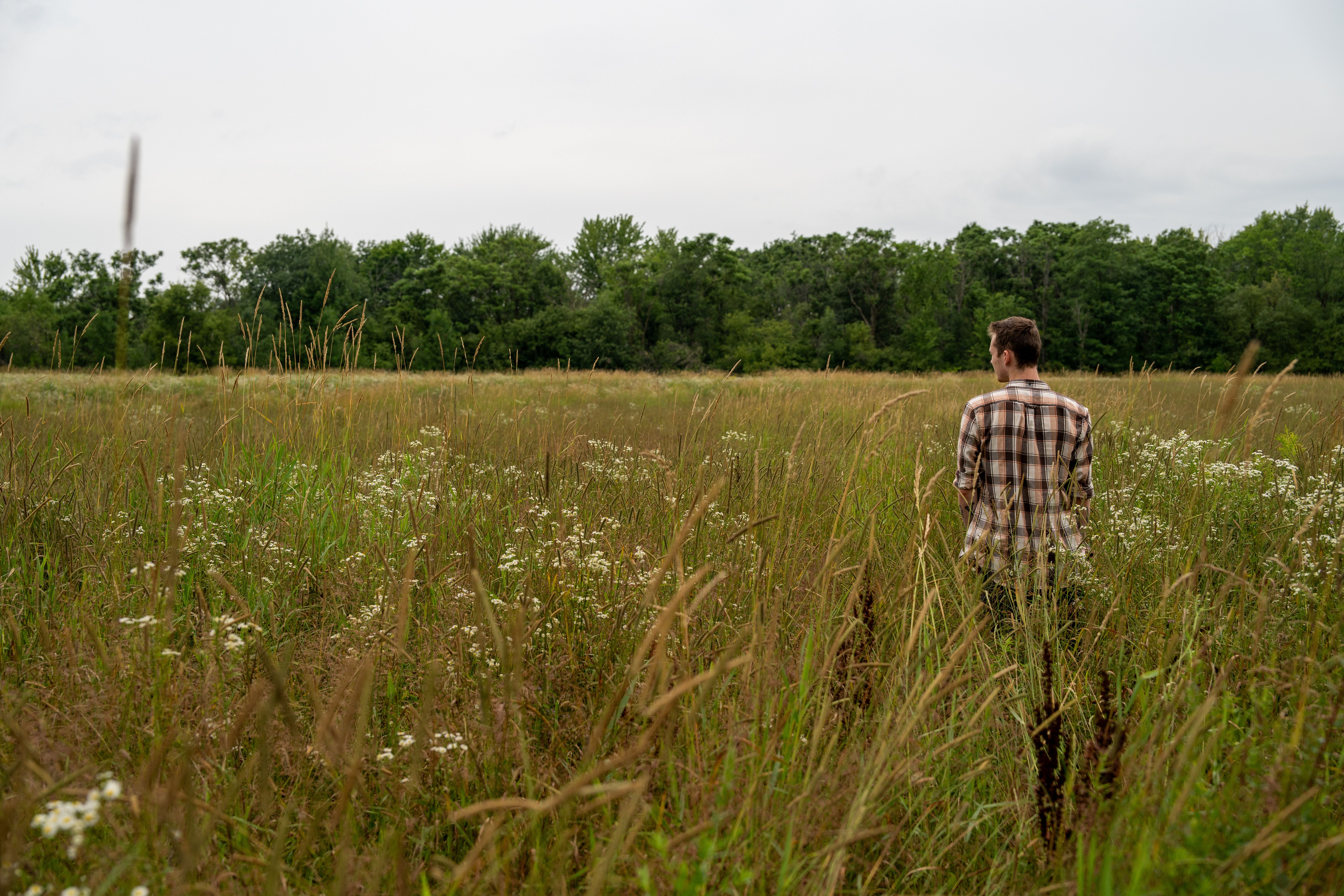 A man is standing in a field of tall grass · Free Stock Photo