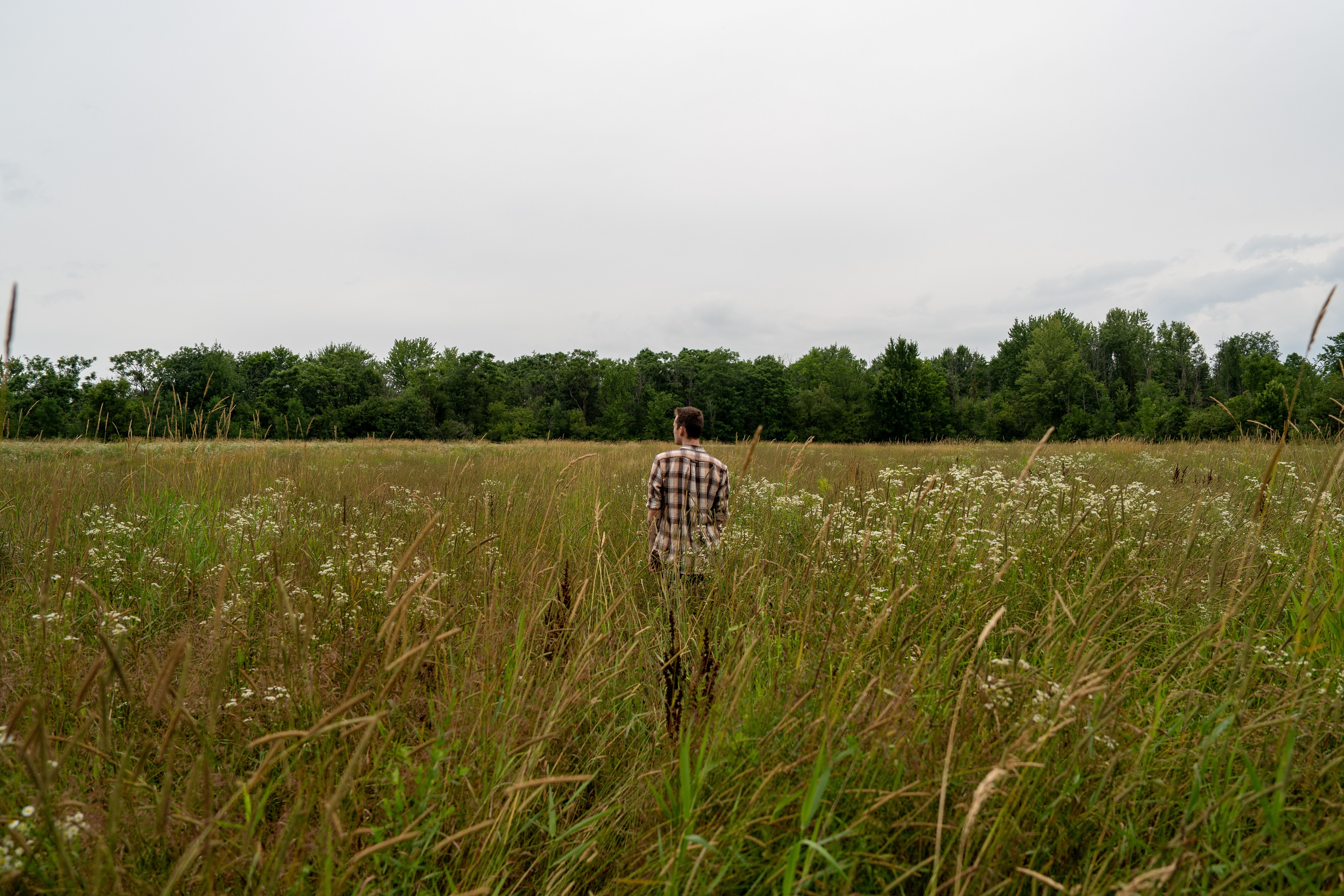 A man is standing in a field of tall grass · Free Stock Photo