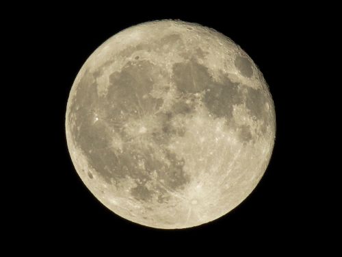 Free Capture of a bright, detailed full moon against a dark sky, showcasing lunar surface. Stock Photo