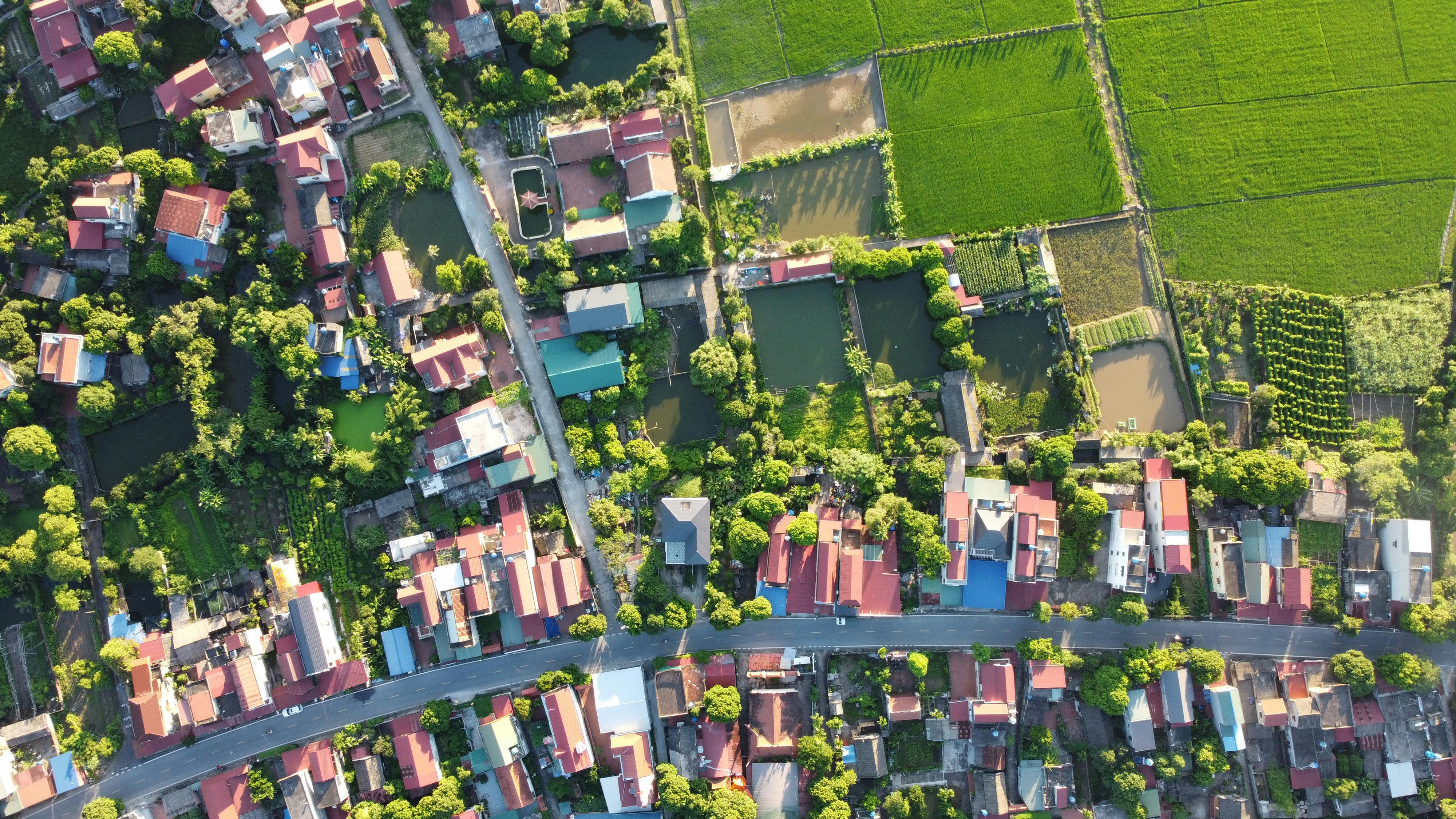 climate resilience — Photo by HONG SON on Pexels