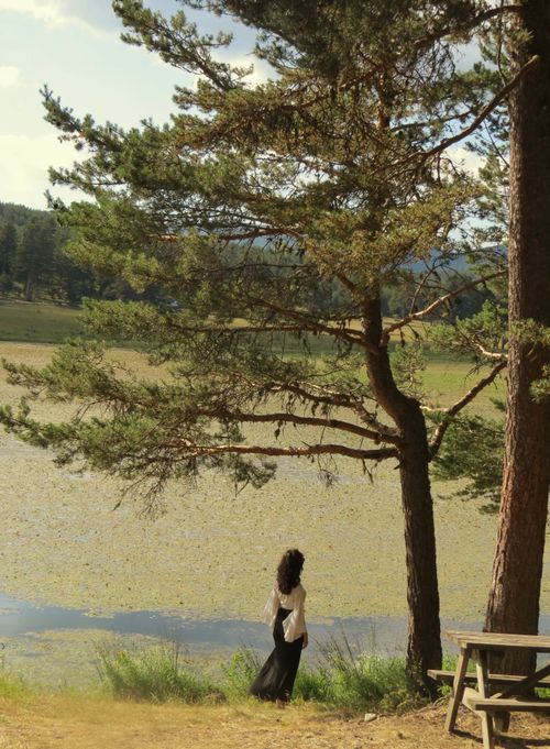 Free A woman enjoys the peaceful lakeside view under tall pine trees on a sunny day. Stock Photo