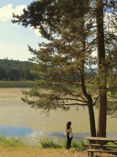 Free A tranquil lakeside view with a person standing near a tree on a sunny day, showcasing peaceful nature scenery. Stock Photo