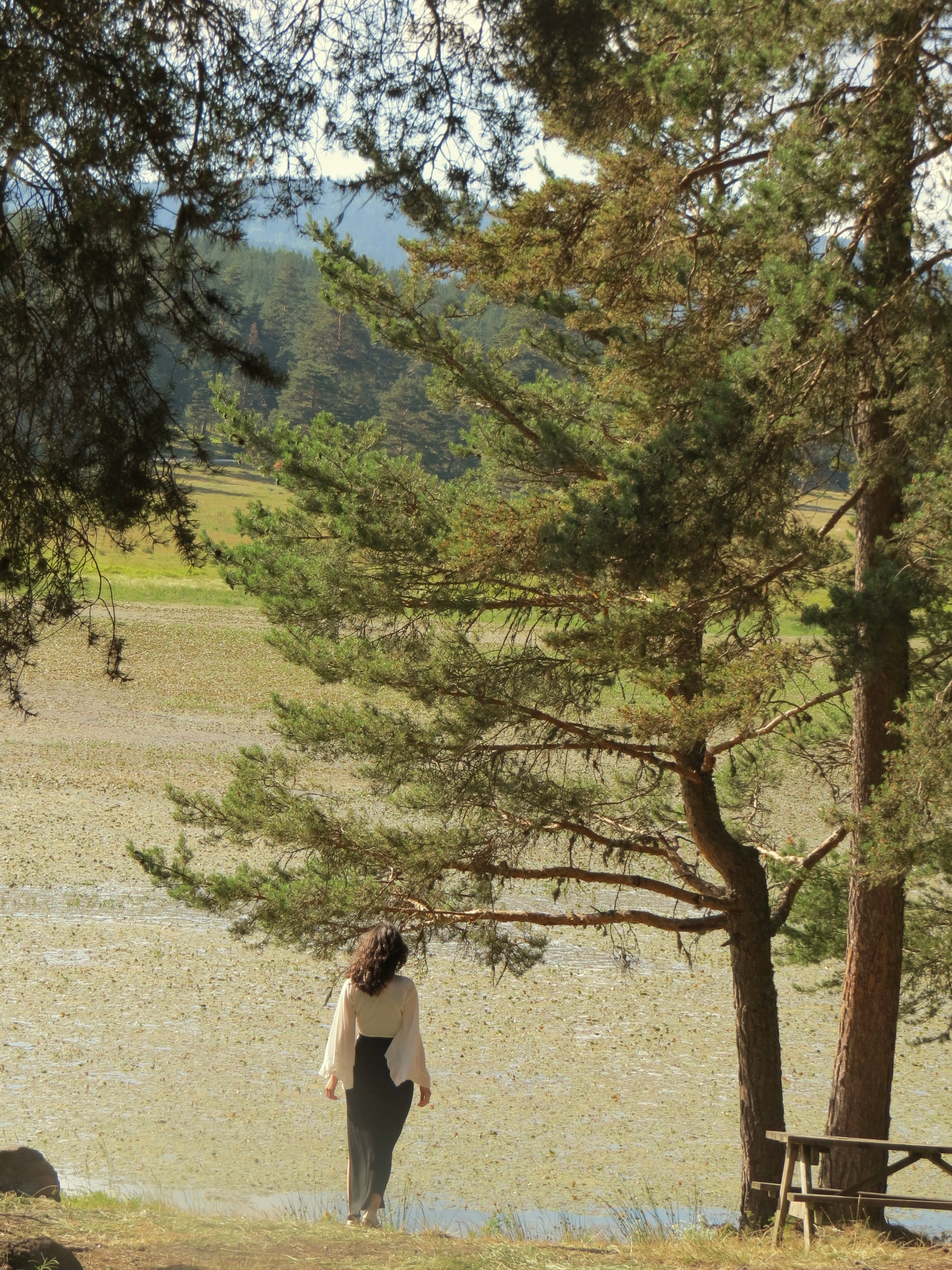 A serene image of a woman standing by a calm lake surrounded by pine trees during the day.