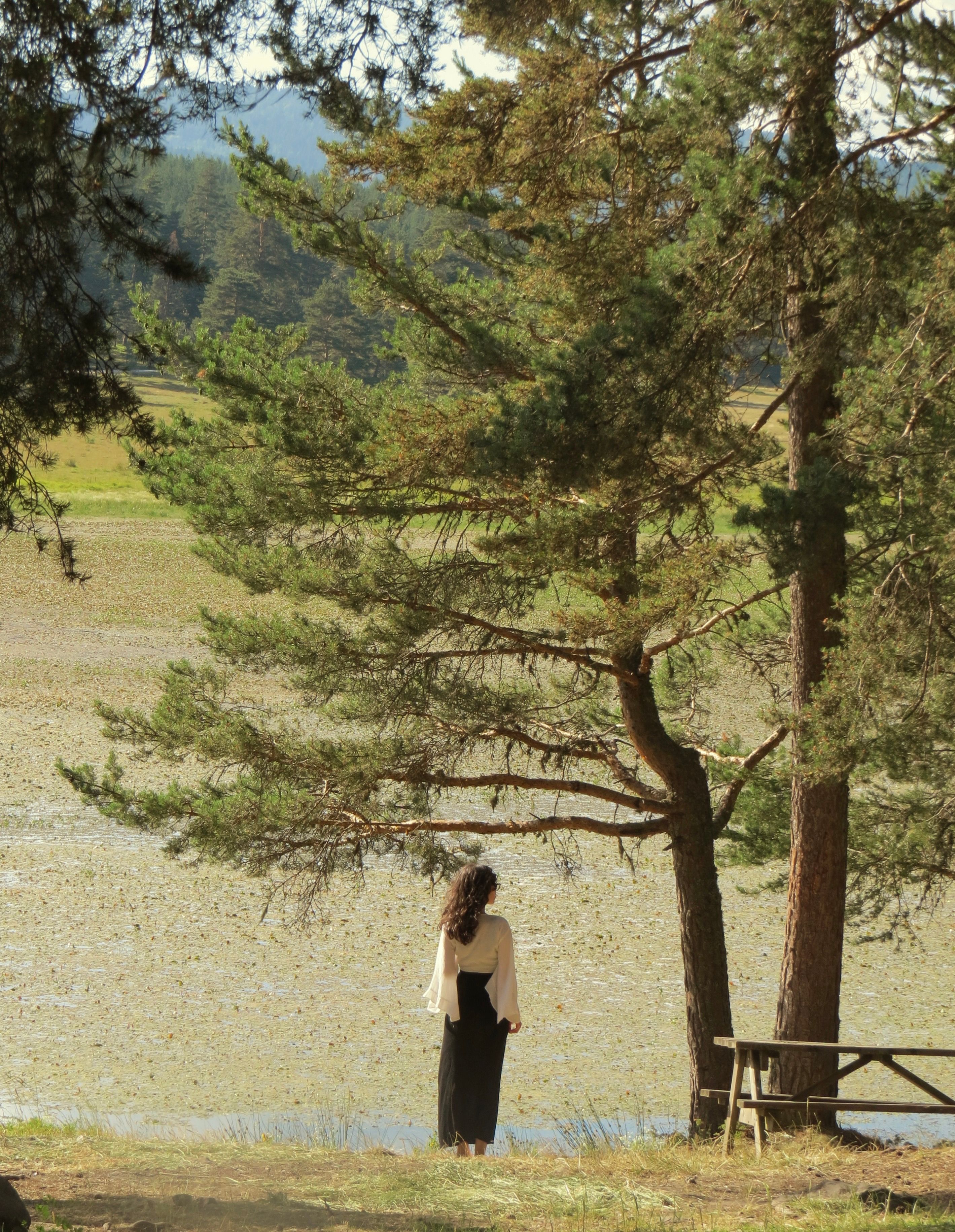 Woman standing by a serene lakeside surrounded by pine trees in summer.