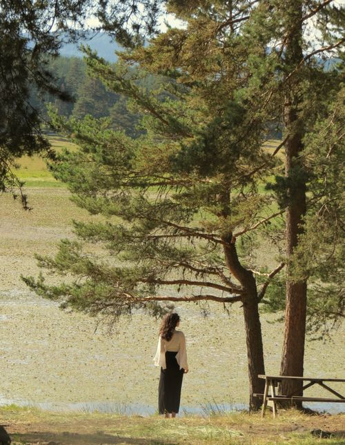 Free Woman standing by a serene lakeside surrounded by pine trees in summer. Stock Photo