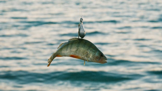 Close-up image of a fish caught on a fishing line against a water backdrop.