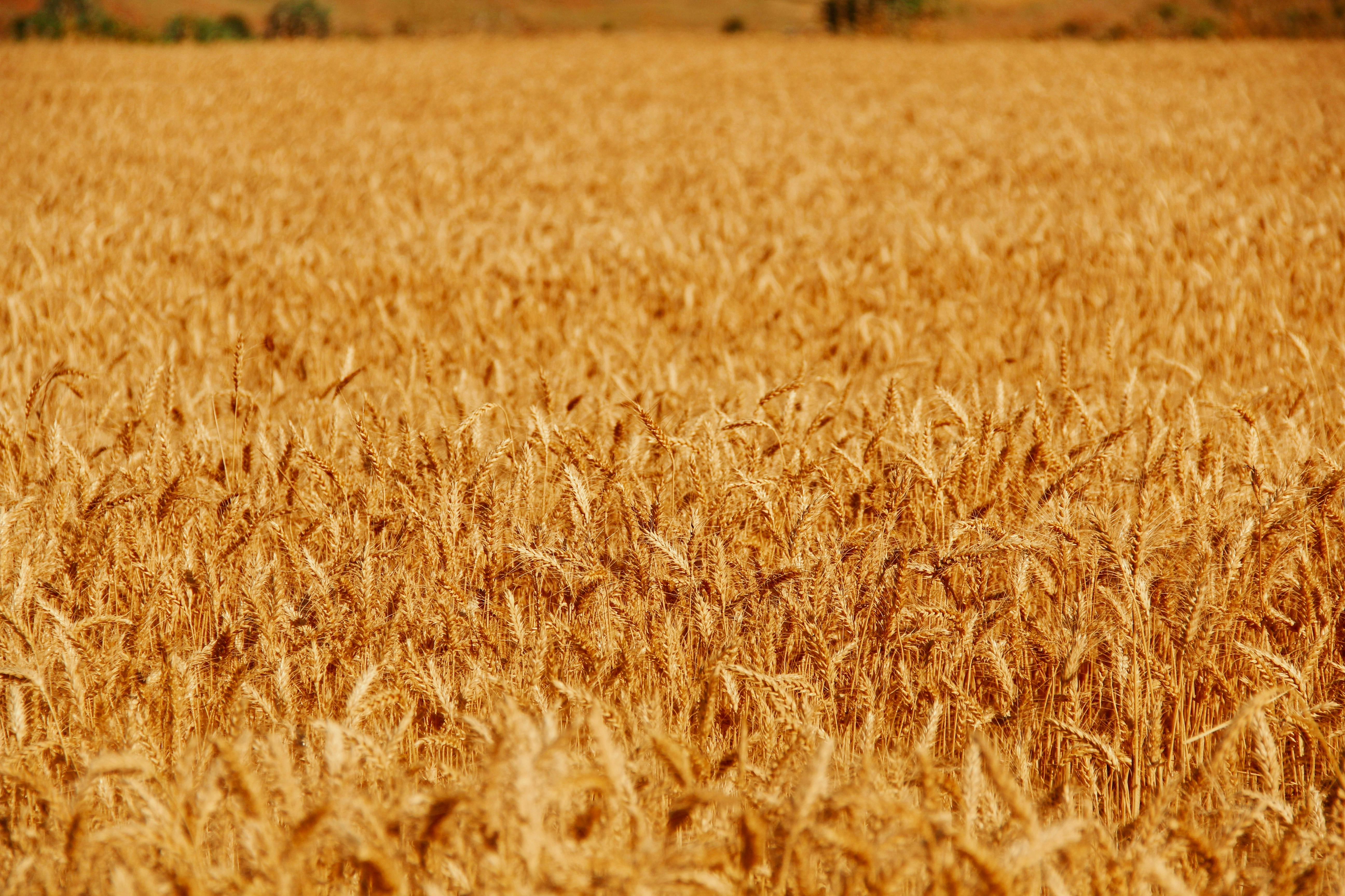Yozgat, Turkey - travel photo