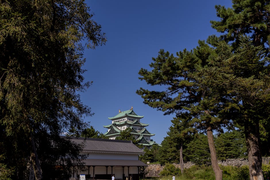 非常有趣!世界各地的旅游指南在福冈体验的“真正的日本”是什么 城堡、清汤鸡肉火锅,还有“便当”… 日本首次举办的“旅游指南联盟大会”(RKB每日电台) 非常有趣!世界各地的旅游指南在福冈体验的“真正的日本”是什么 城堡、清汤鸡肉火锅,还有“便当”… 日本首次举办的“旅游指南联盟大会”(RKB每日电台)