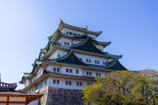 Nagoya, Japan photo 6