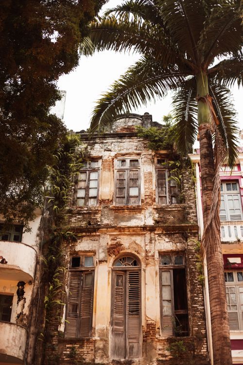Free A rustic, abandoned building with vintage architecture amidst urban palm trees. Stock Photo