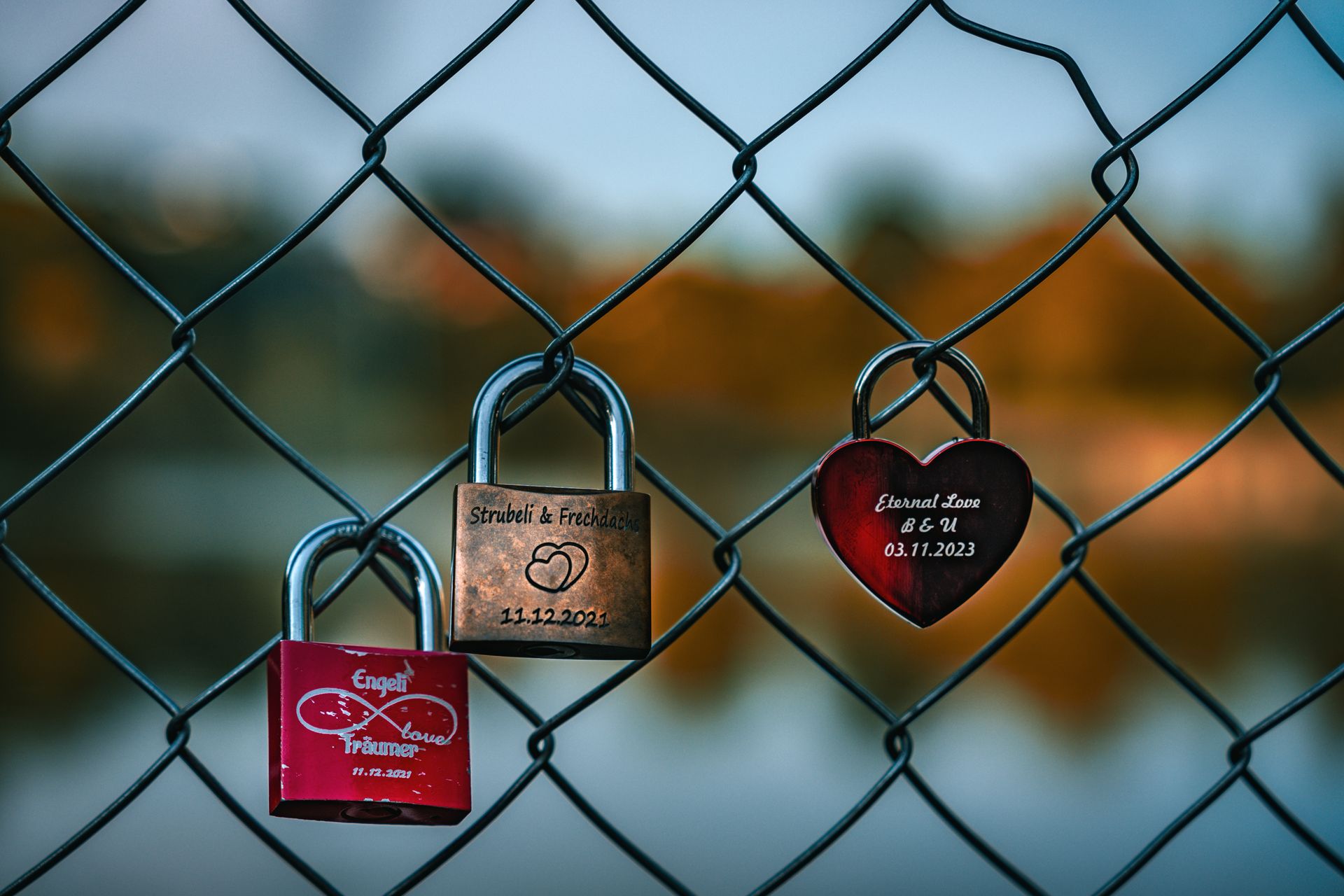 Close-up of love locks on a fence, symbolizing love and commitment against a blurred natural backdrop.
