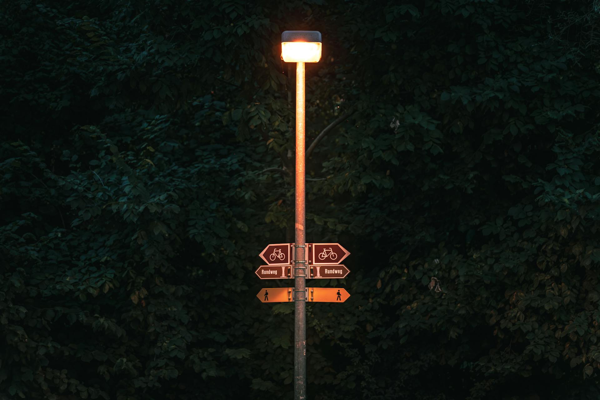 A street lamp illuminating a directional signpost against a dark leafy background.
