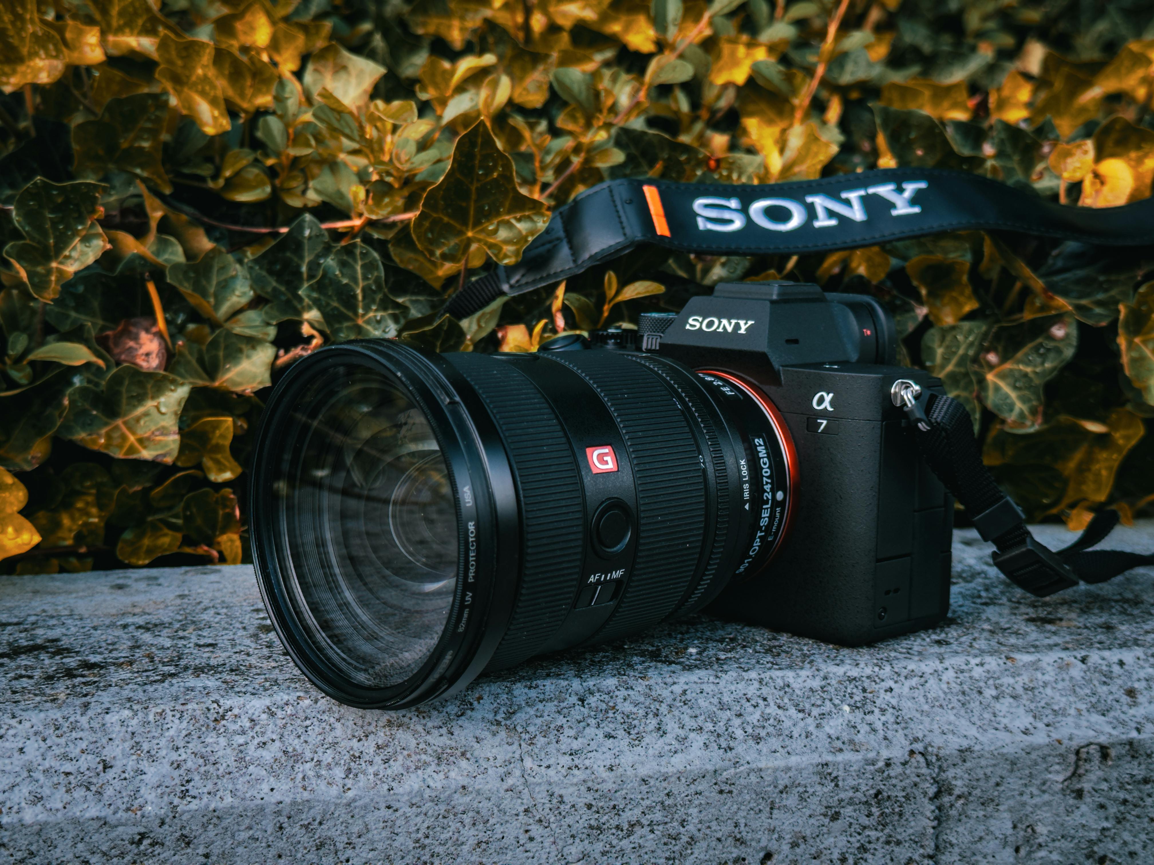 gear reviews — Photo by Baran Robin on Pexels